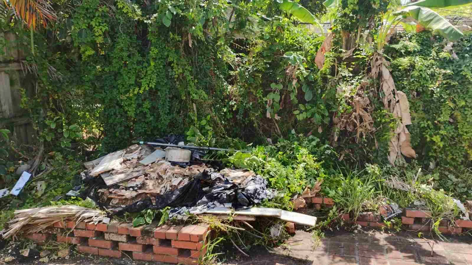 A large pile of yard waste and construction debris sitting on a red brick wall in front of overgrown garden vines.